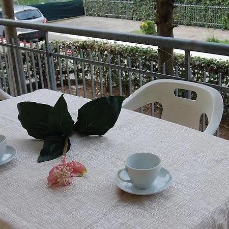 Hotel 21